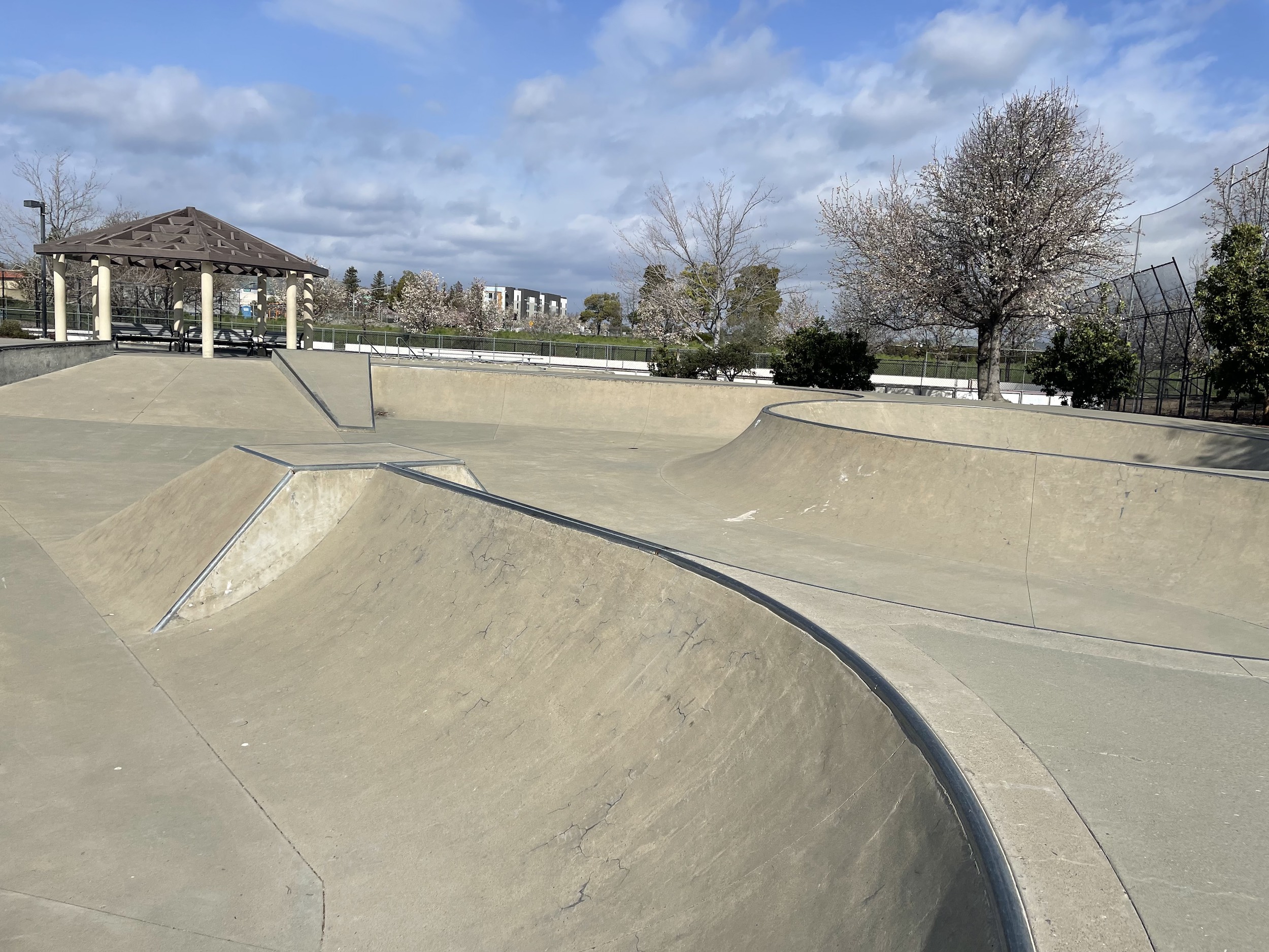 Pleasanton skatepark